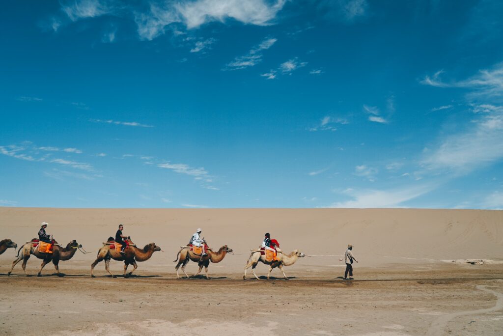 desert-tour