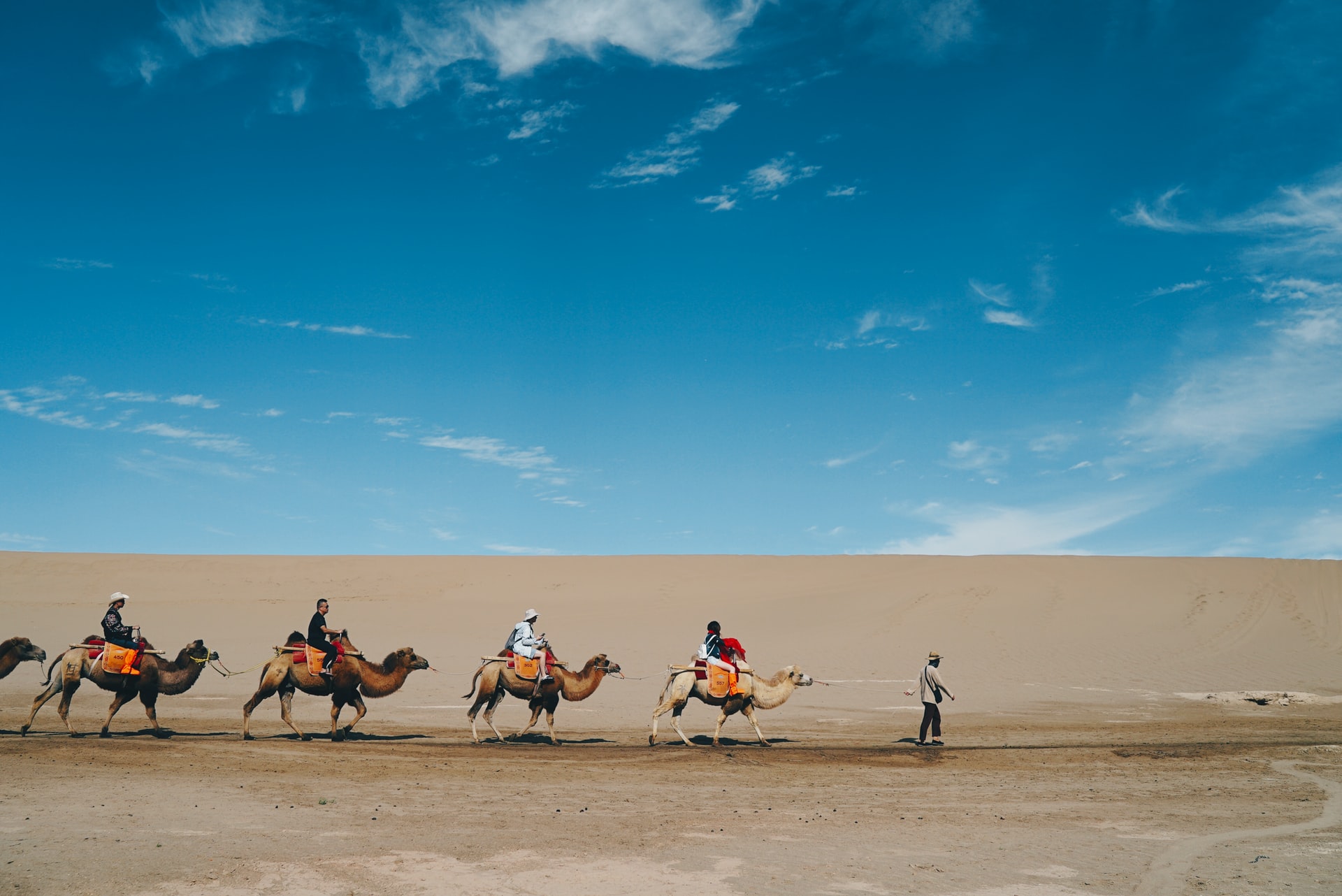desert-tour
