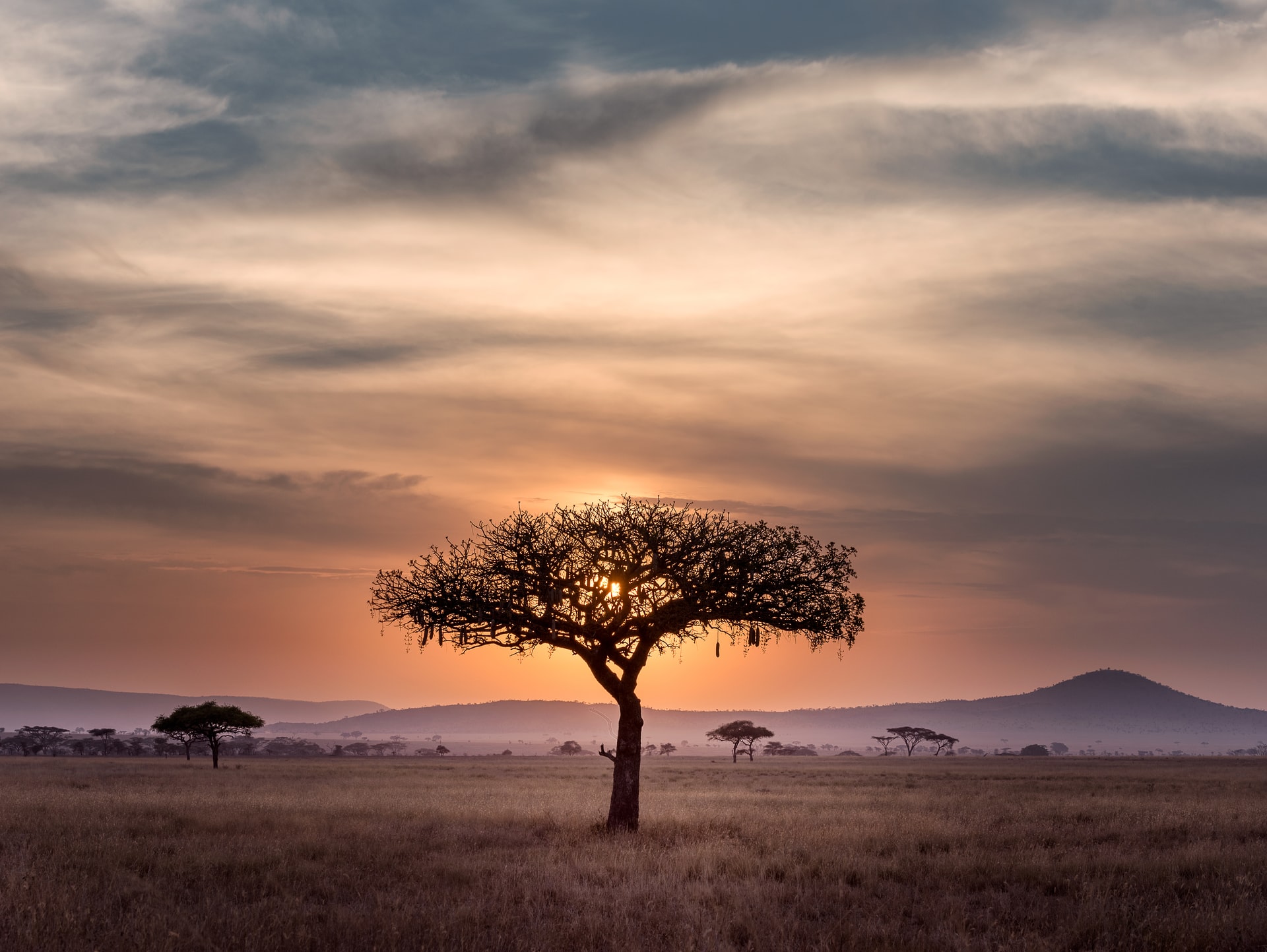 south-africa south-africa